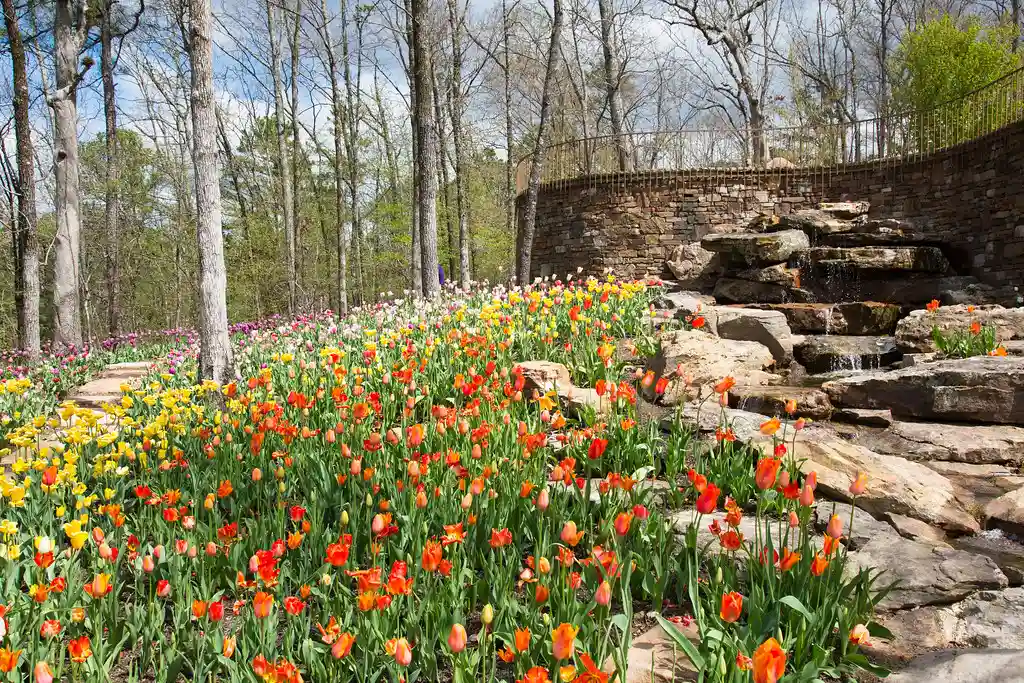 Garvan Woodland Gardens, Hot Springs