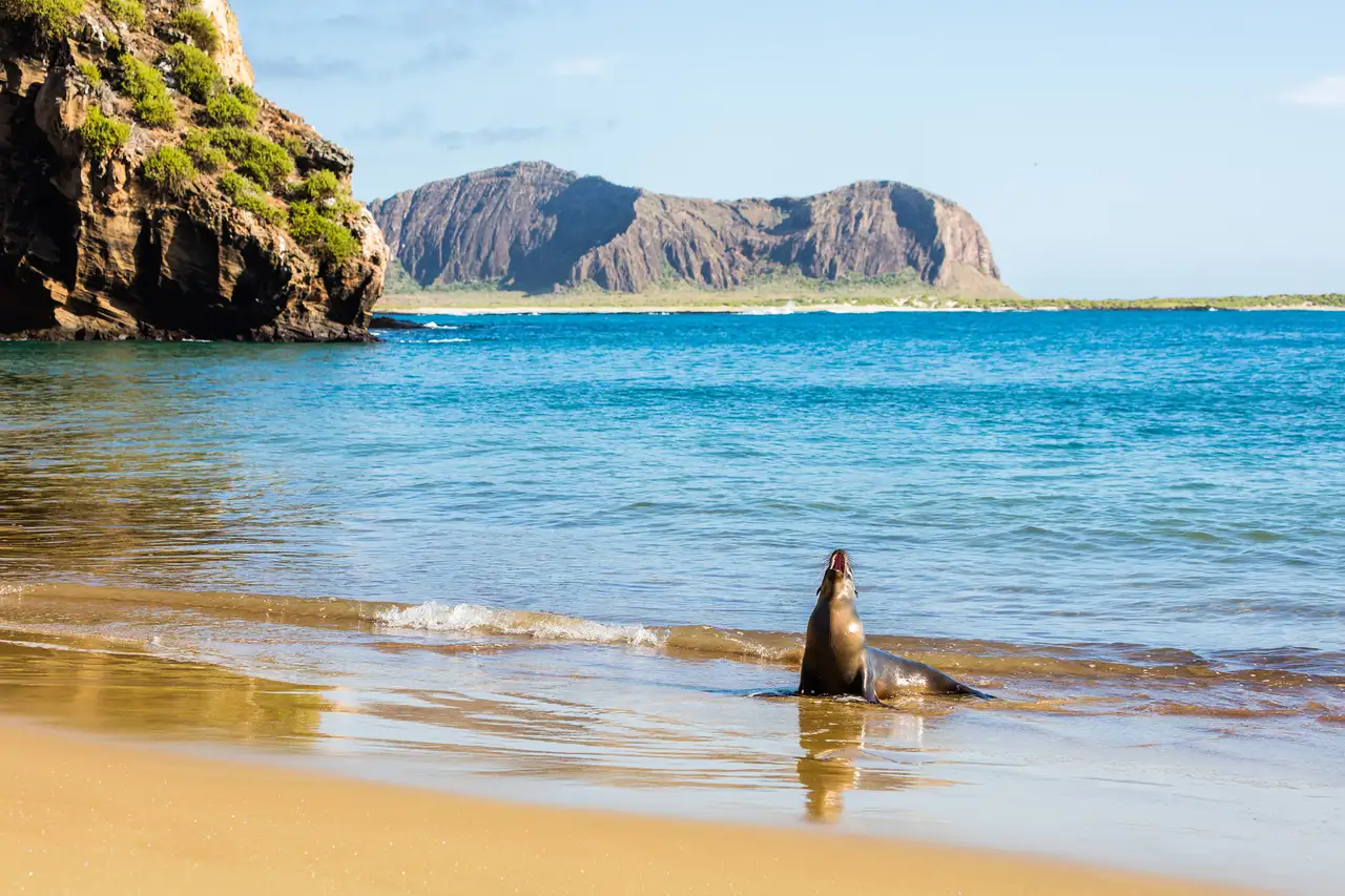 Galapagos Islands, Ecuador