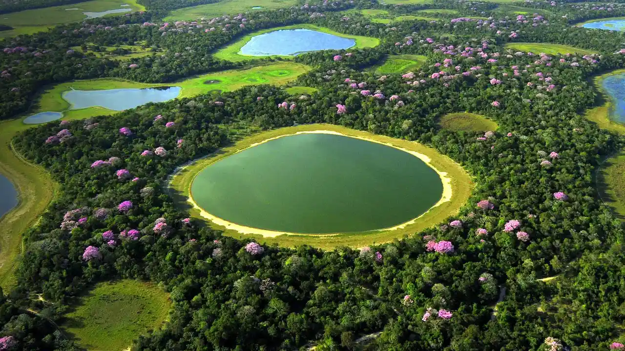 Pantanal, Brazil