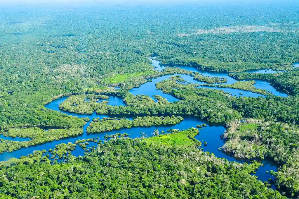 Amazon Rainforest, Brazil