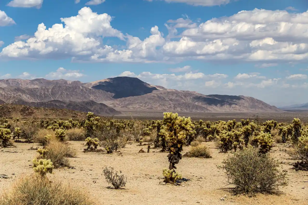 Joshua Tree National Park, California