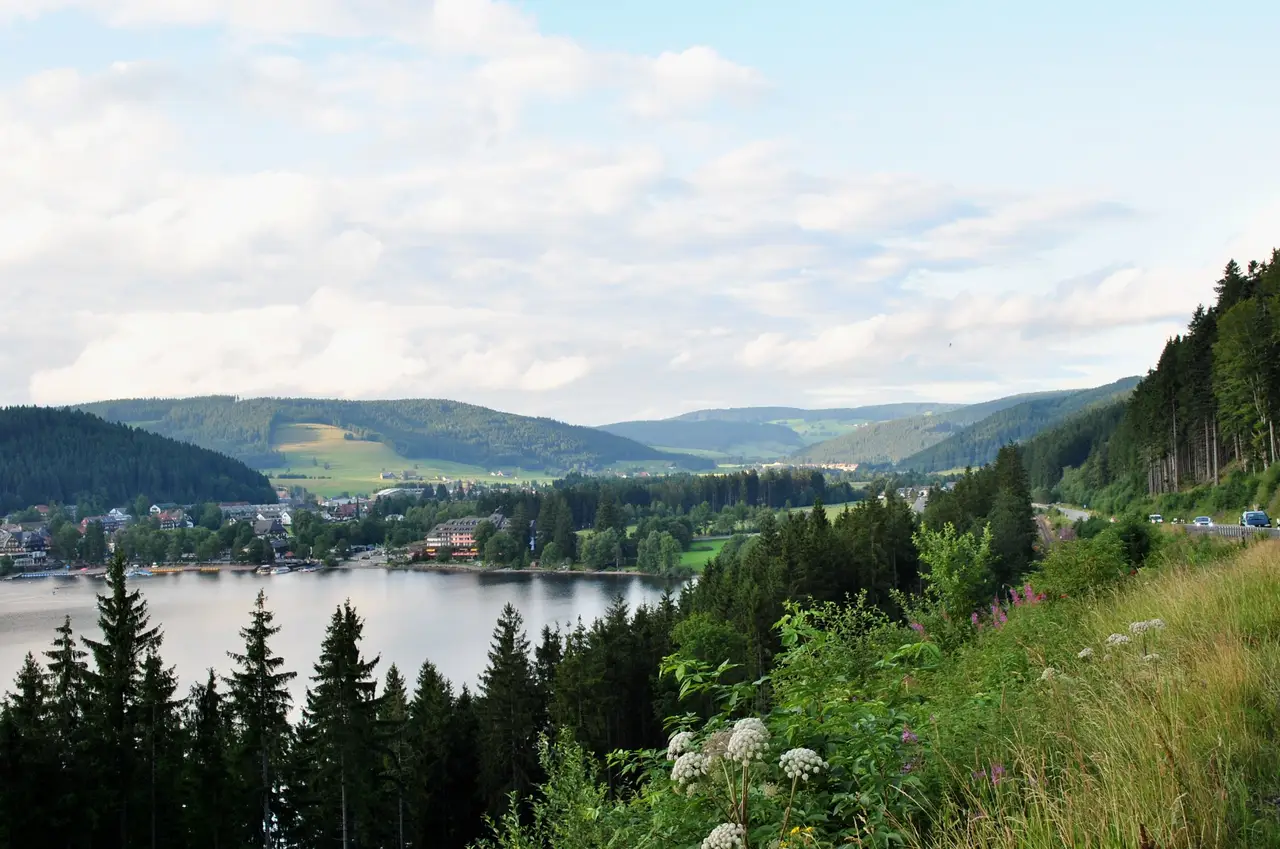 Black Forest