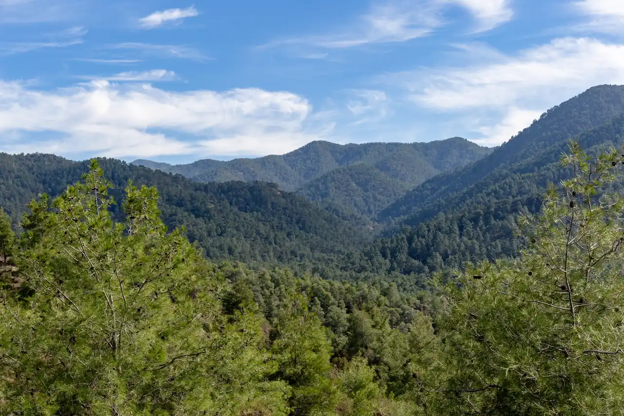 Troodos Mountains