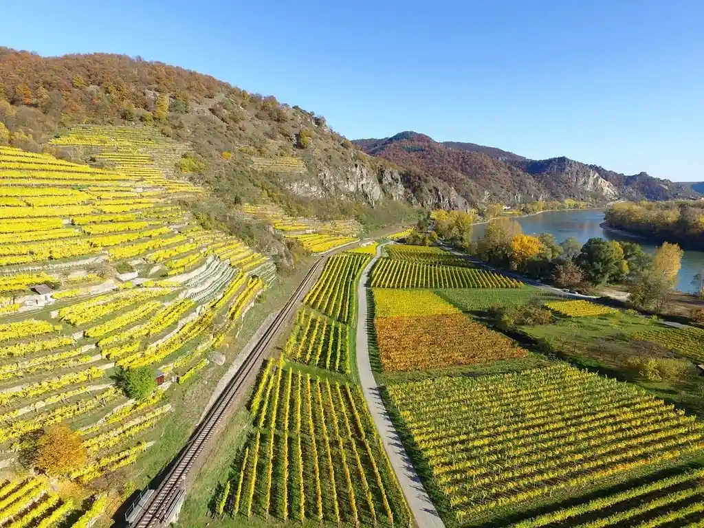 Rhine Valley