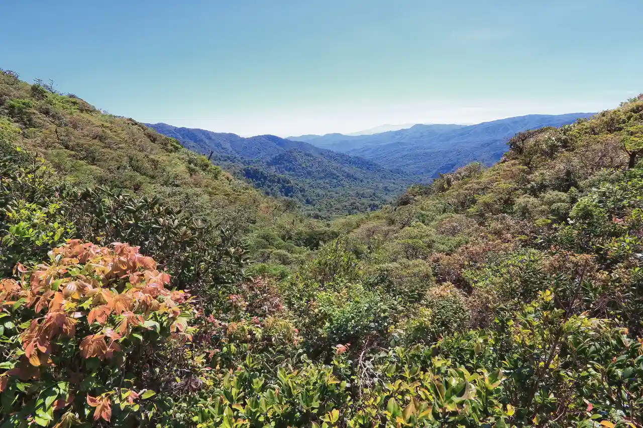 Monteverde Cloud Forest Reserve