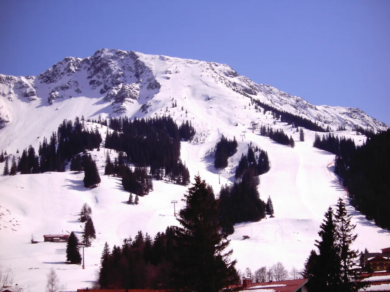Bridger Bowl Ski Area