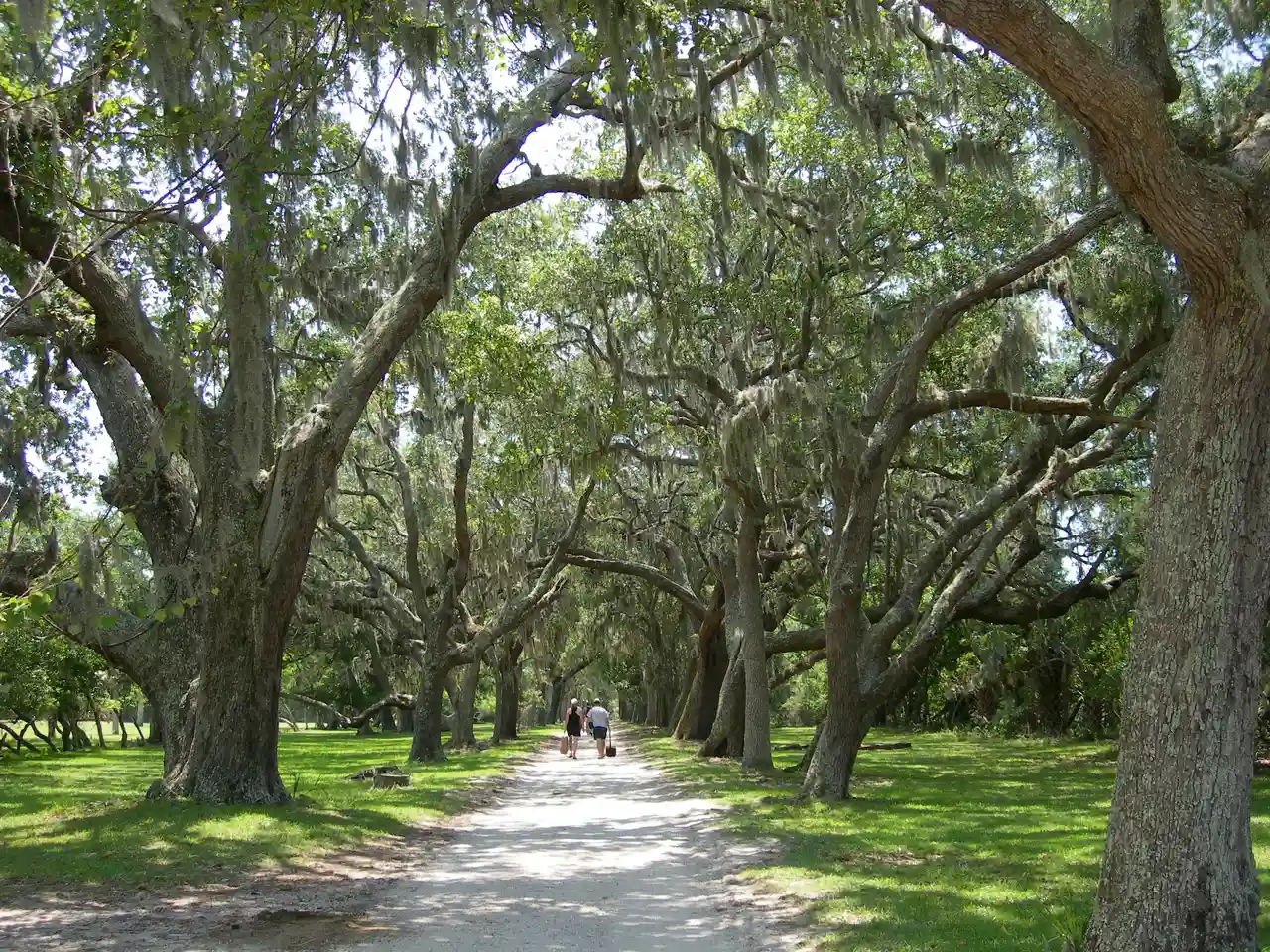 Cumberland Island, Georgia