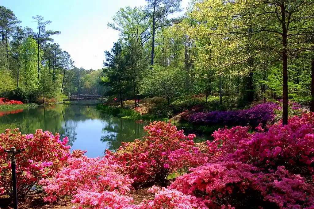 Callaway Gardens, Georgia