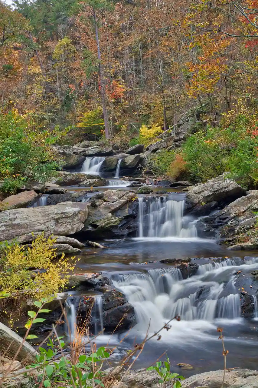 Talladega National Forest, Alabama
