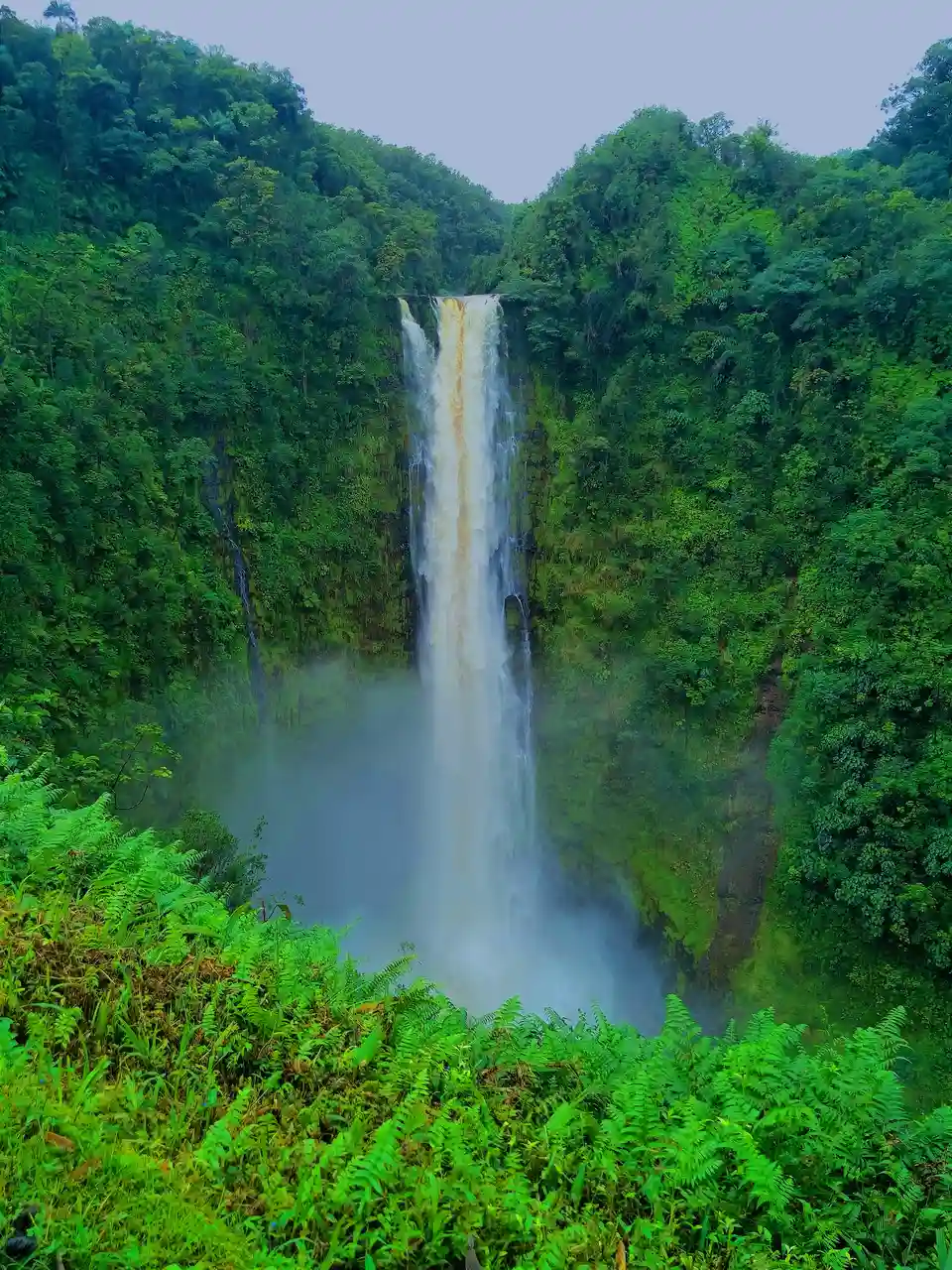 Akaka Falls State Park, Big Island