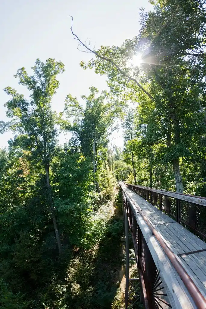 Bernheim Arboretum and Research Forest