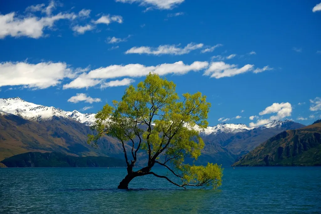 Wanaka Lake