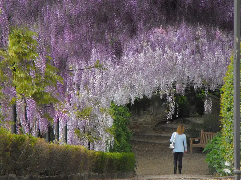 Bardini Gardens