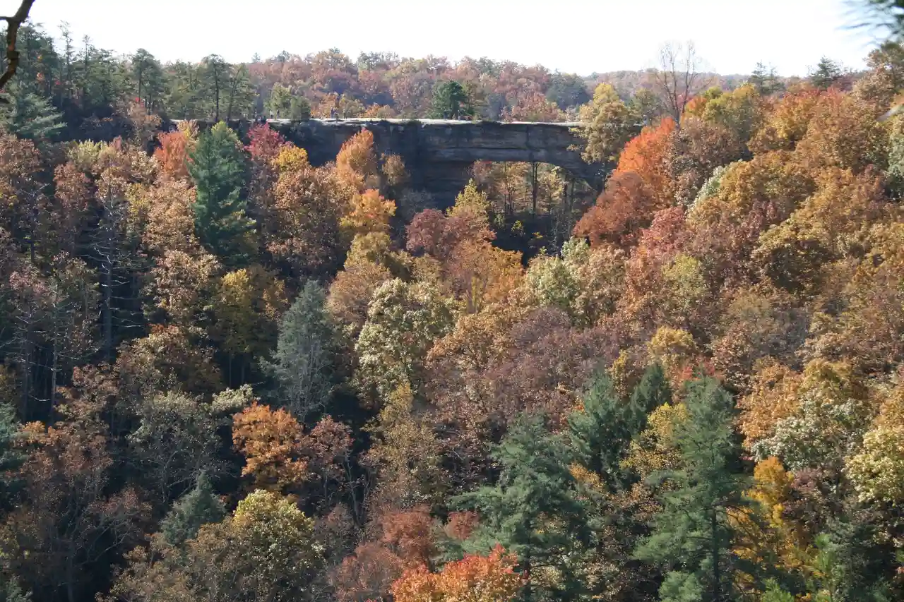 Natural Bridge State Resort Park