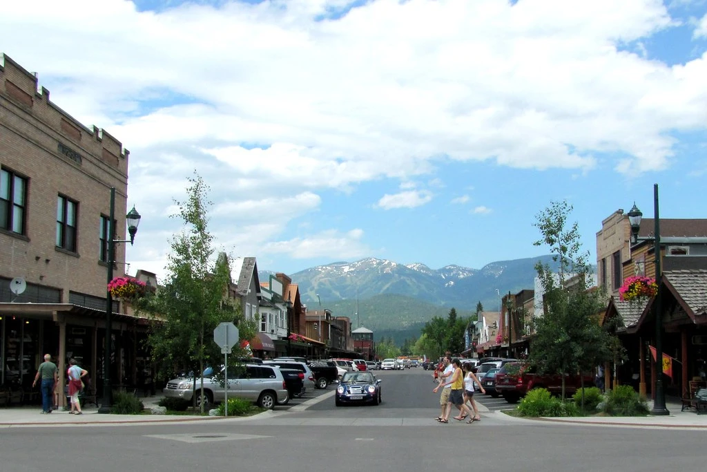 Whitefish