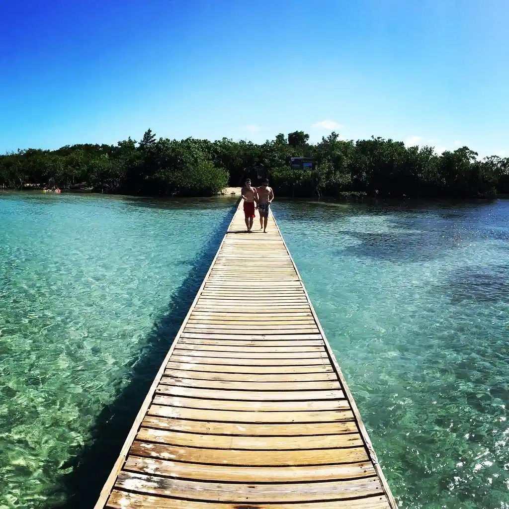 Gilligan's Island