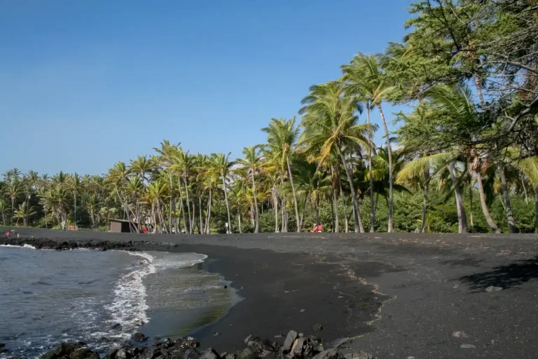 Punaluu Black Sand Beach, Big Island