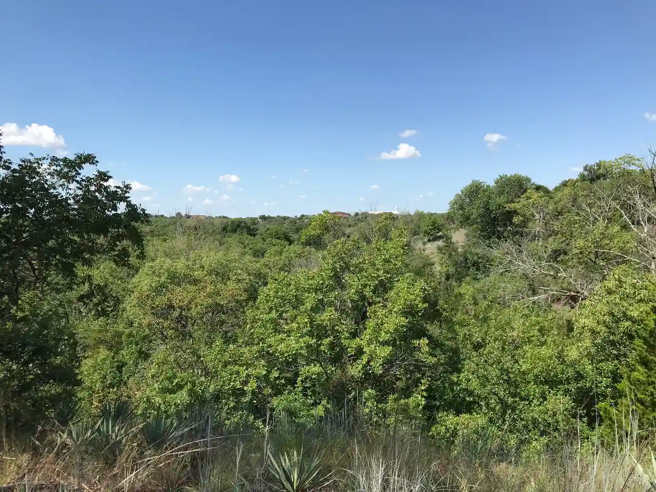 Fort Worth Nature Center & Refuge