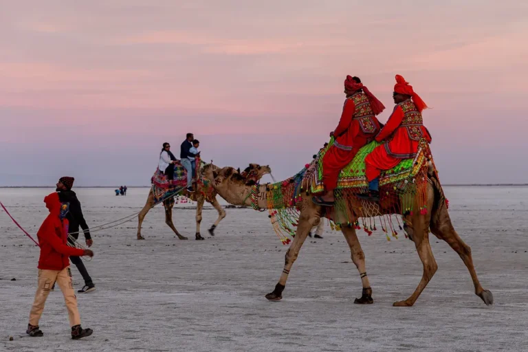 Rann of Kutch, Gujarat