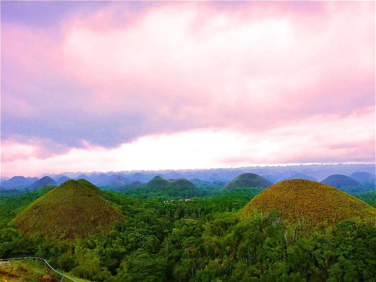 Bohol