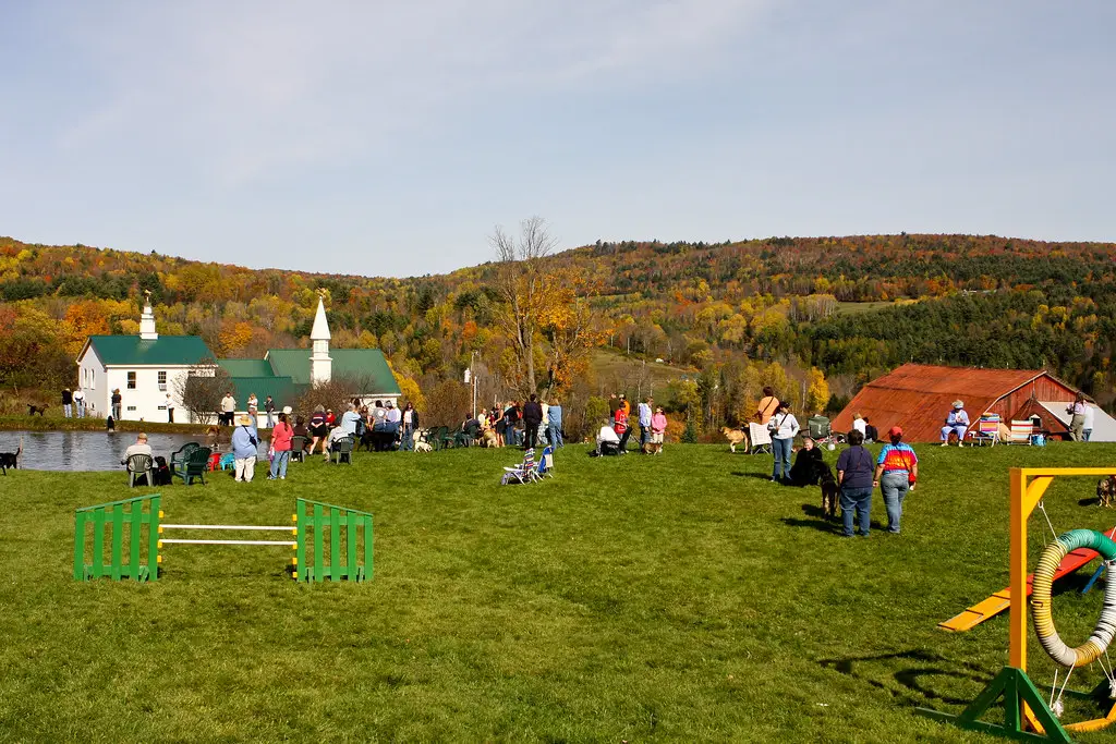 Dog Mountain