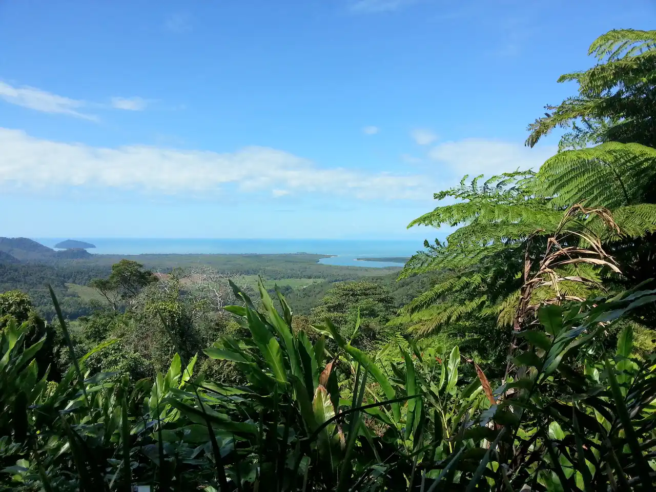 Daintree National Park, Queensland