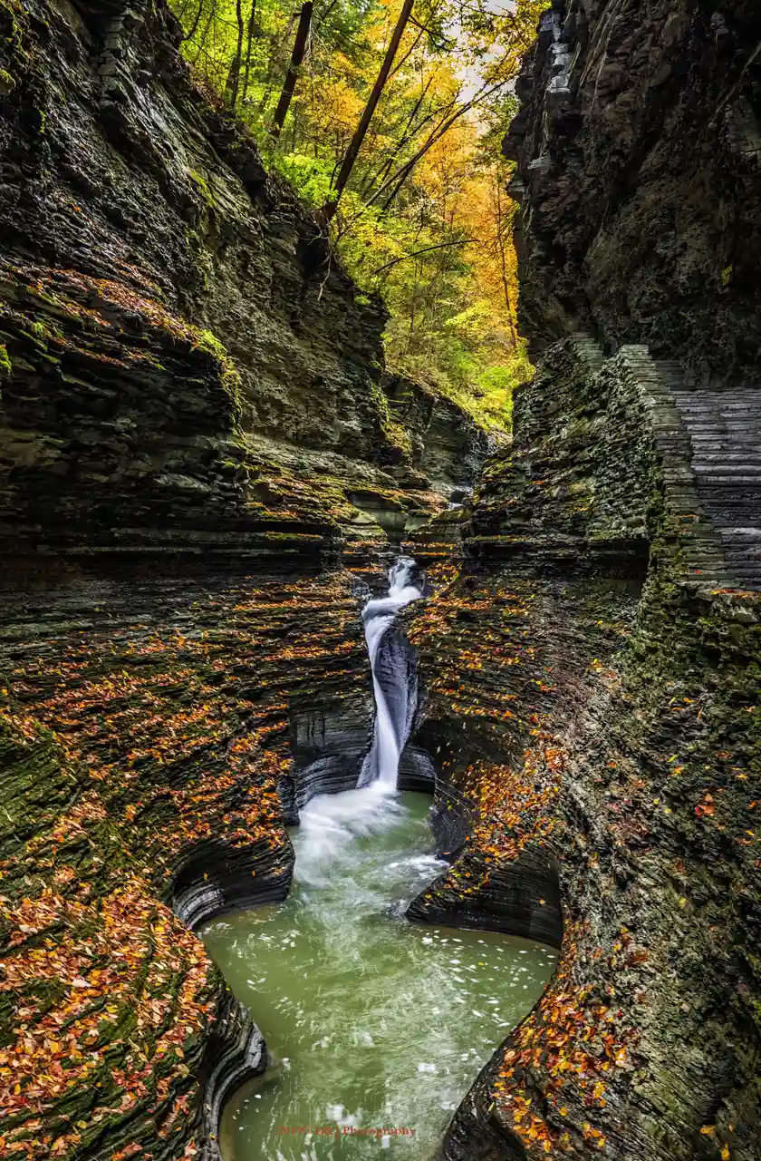 Watkins Glen State Park
