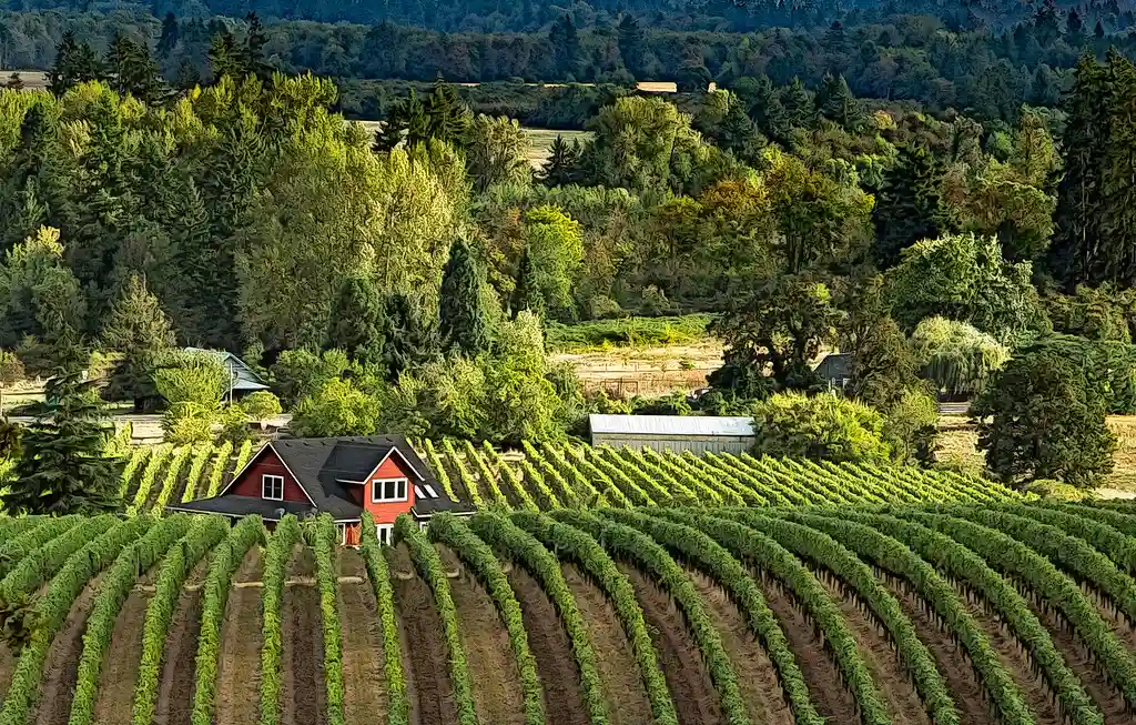 Willamette Valley