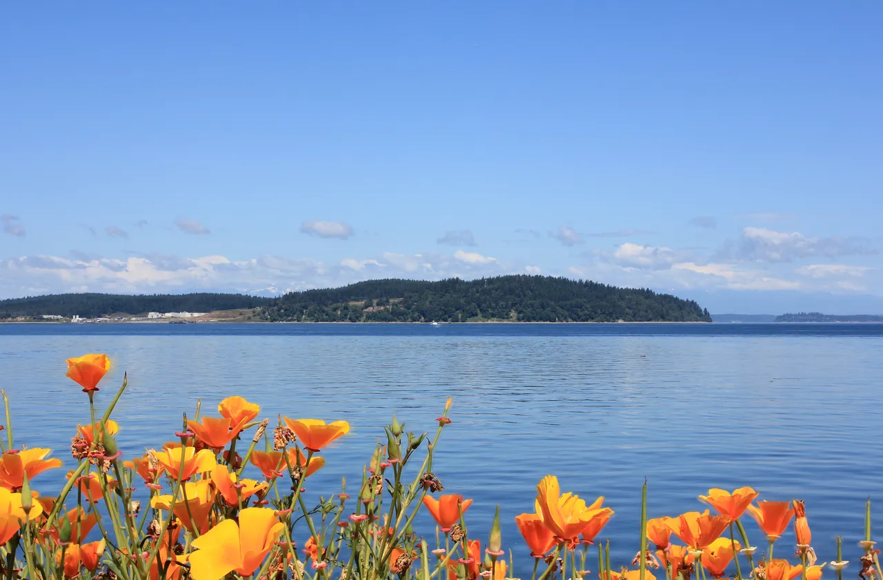 Puget Sound