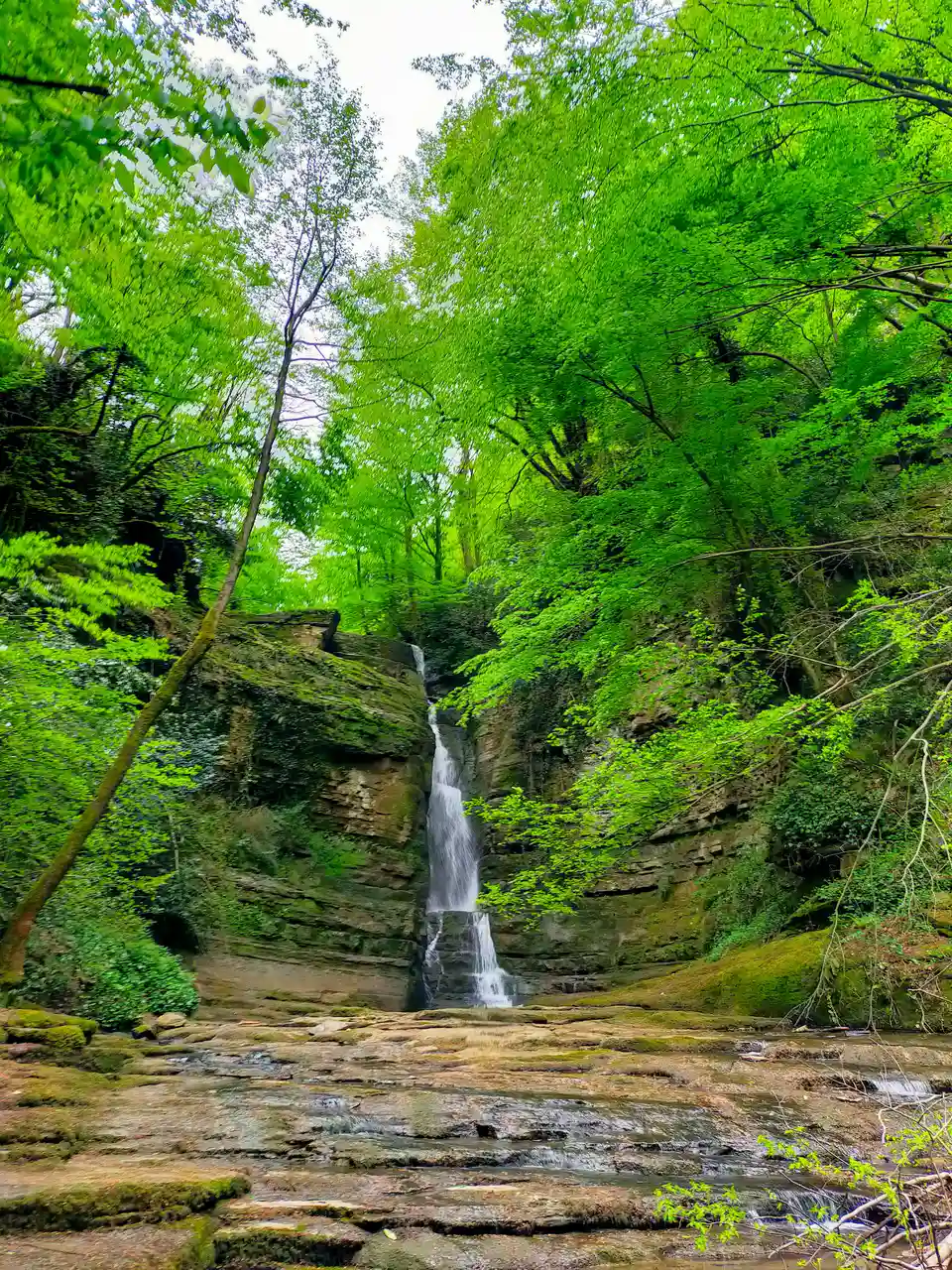 Shikhar Fall