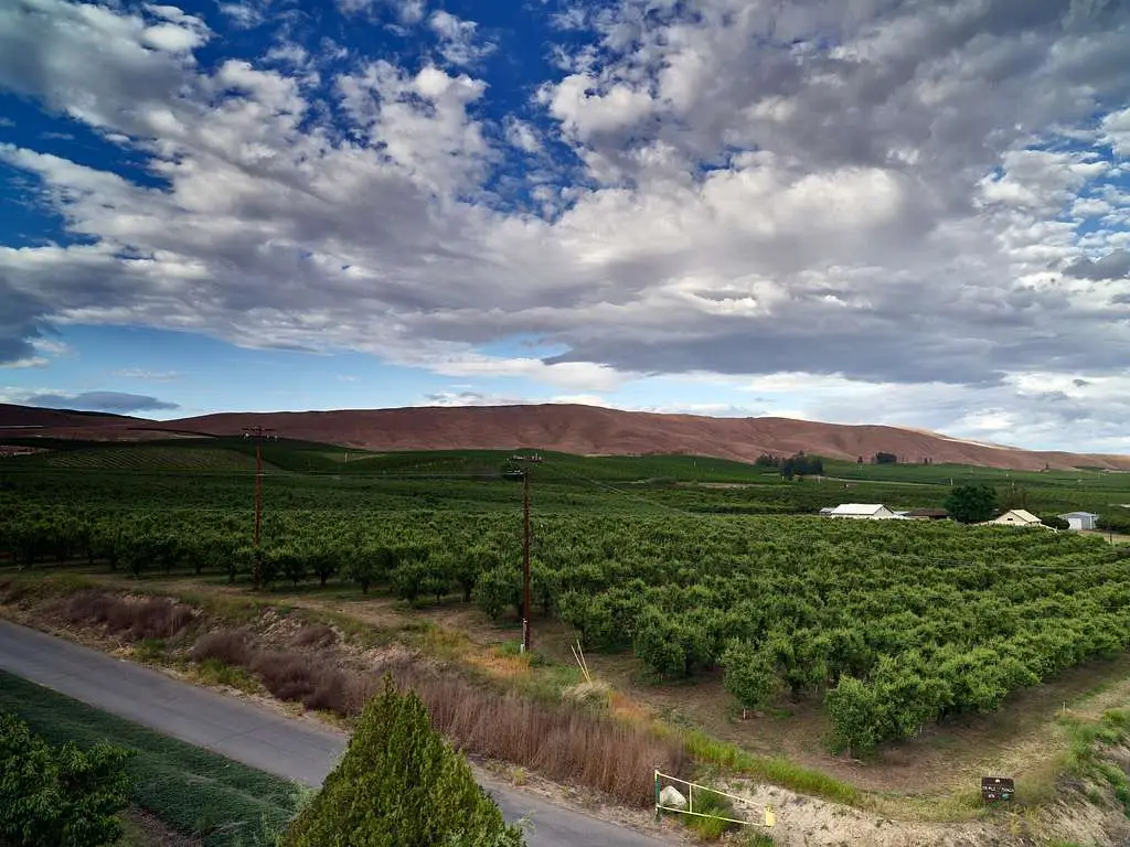 Walla Walla Wine Country