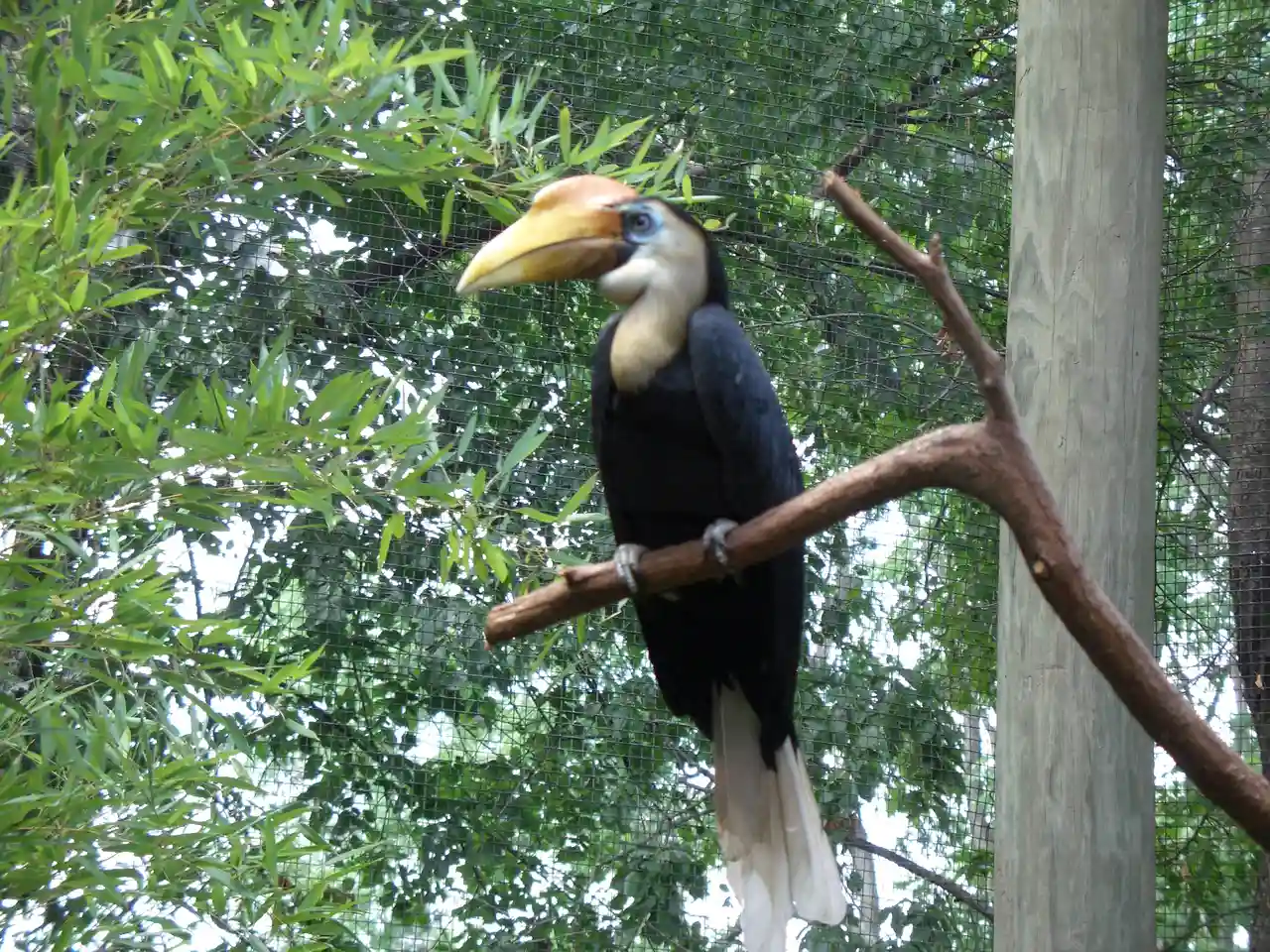Roger Williams Park Zoo, Providence