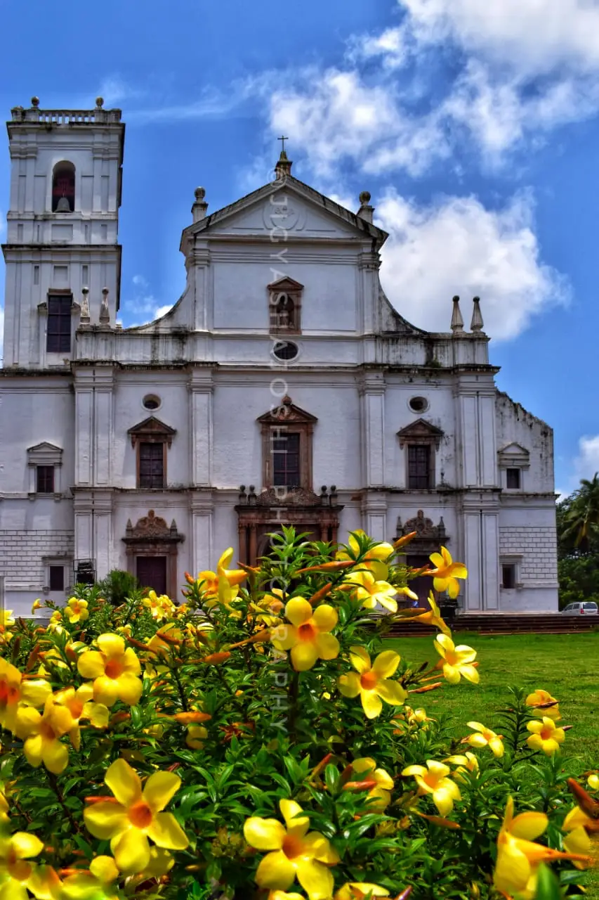 Se Cathedral