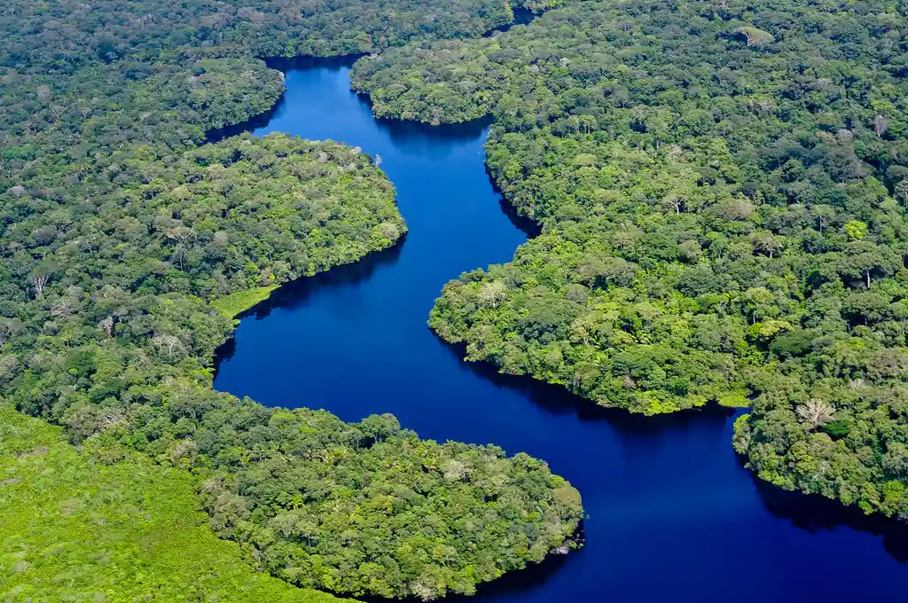 Amazon Rainforest, Brazil