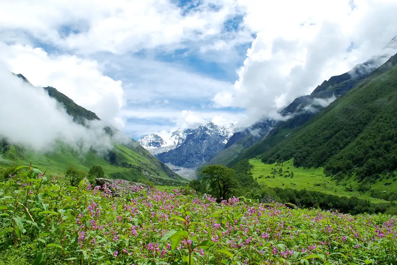 Valley of Flowers, Uttarakhand