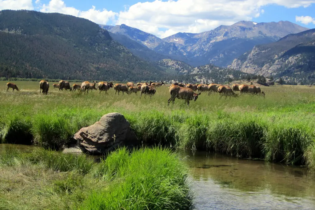 Rocky Mountain National Park, Colorado