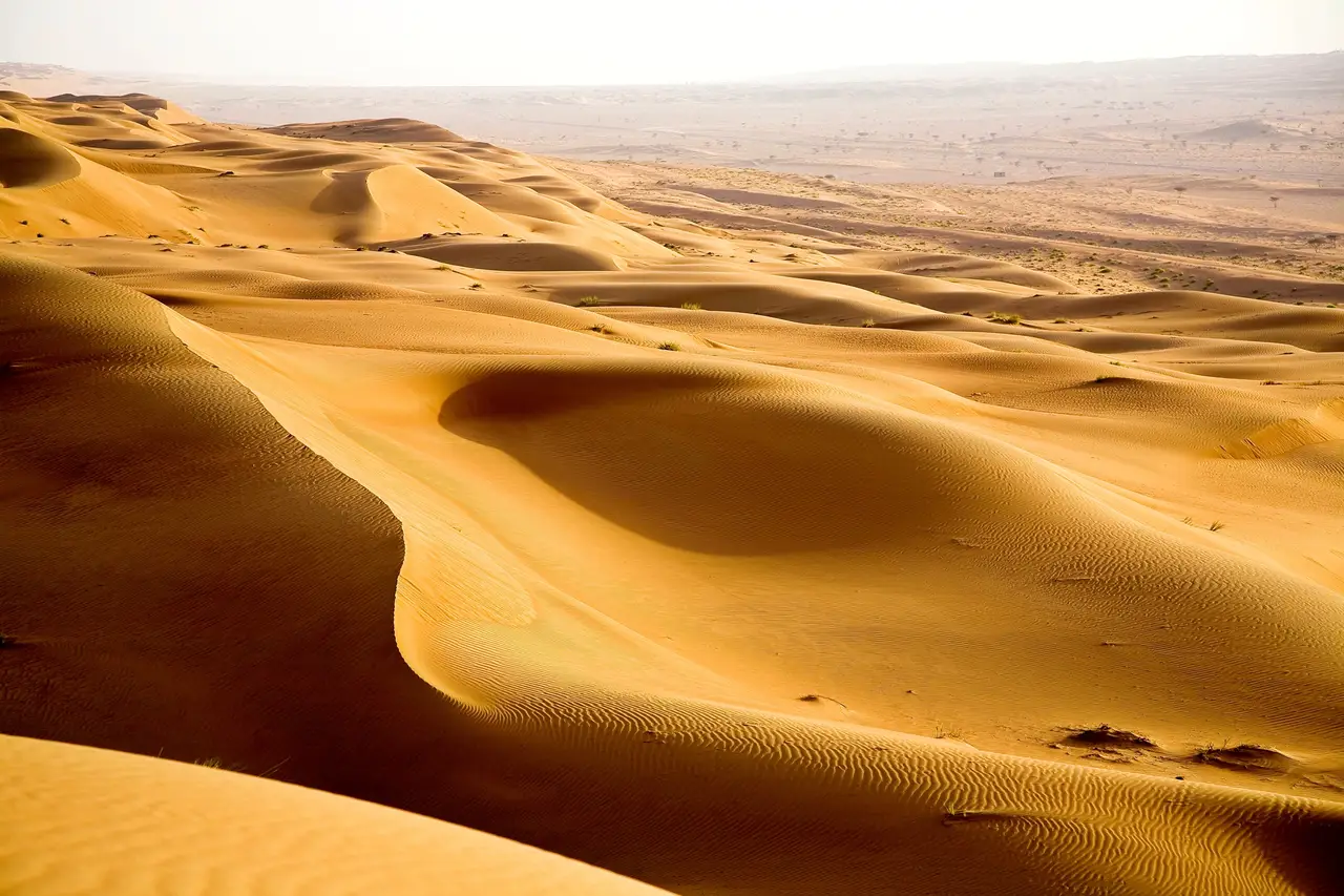 Wahiba Sands, Oman