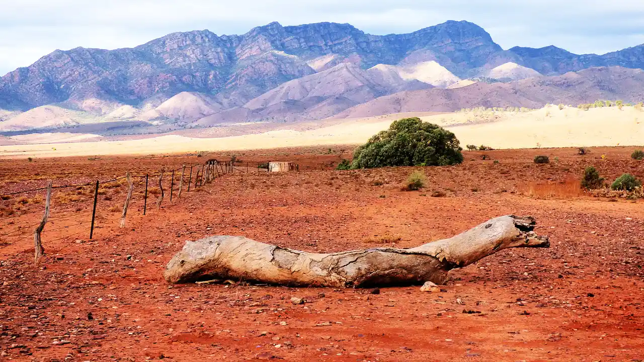 Flinders Ranges National Park, South Australia