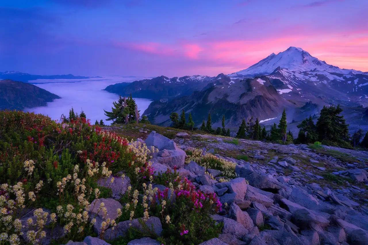 Mount Baker