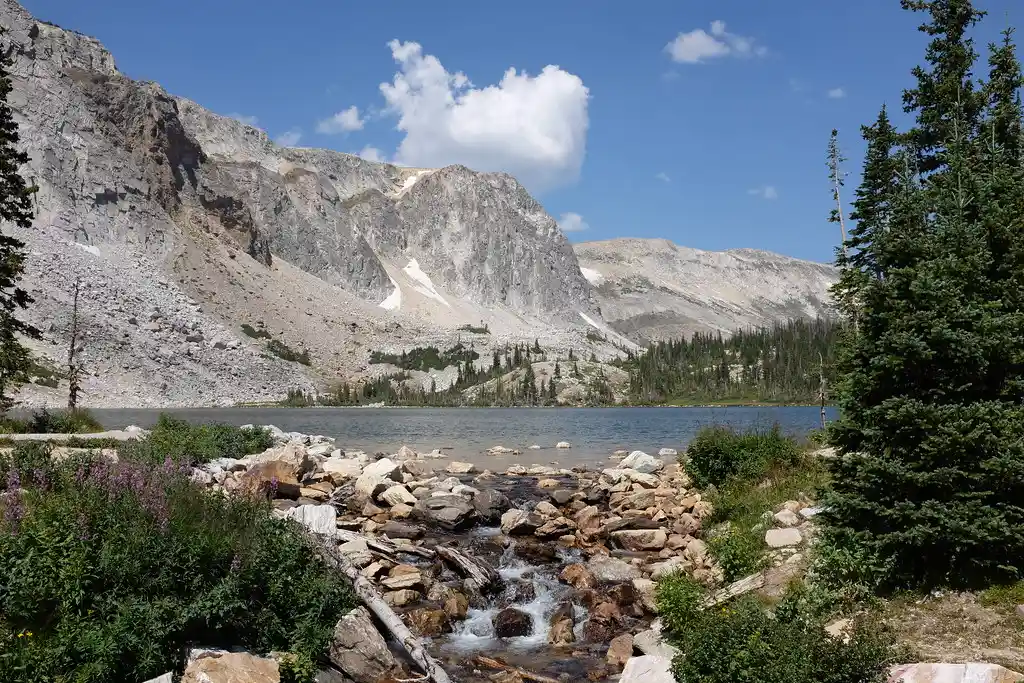 Medicine Bow National Forest