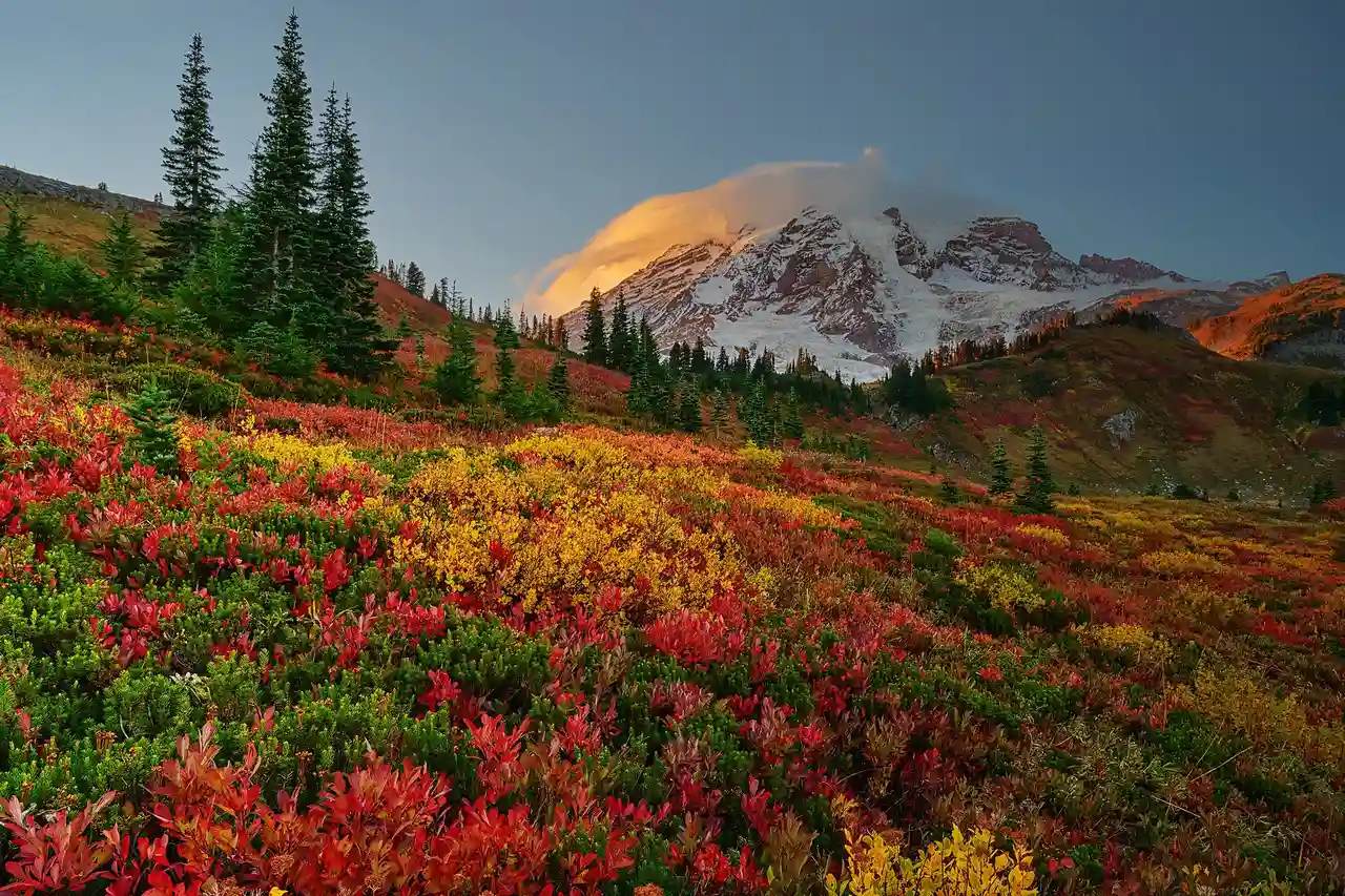 Mount Rainier National Park