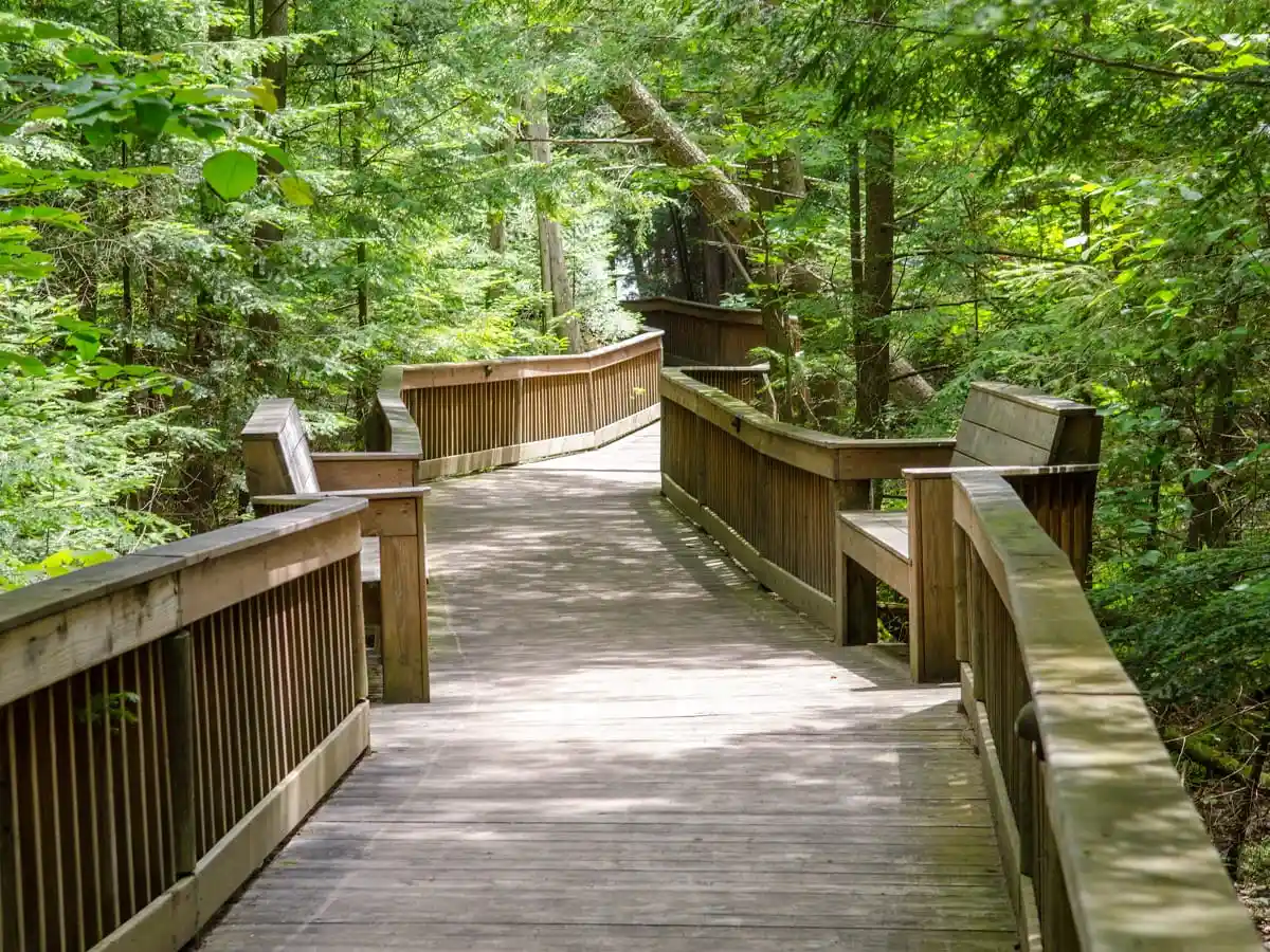 Traverse Area Recreation Trail