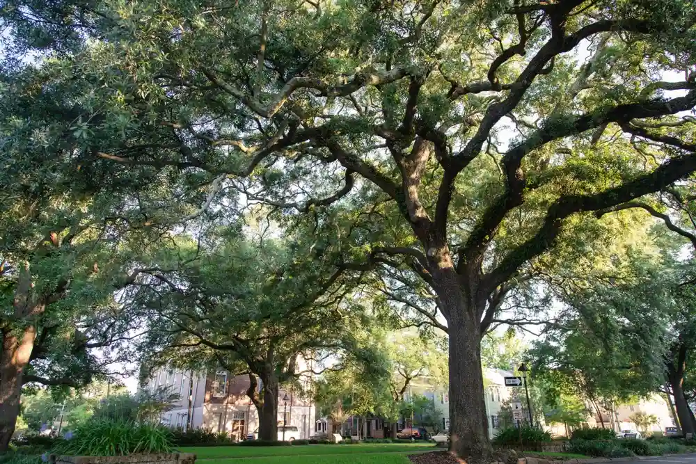 Savannah, Georgia