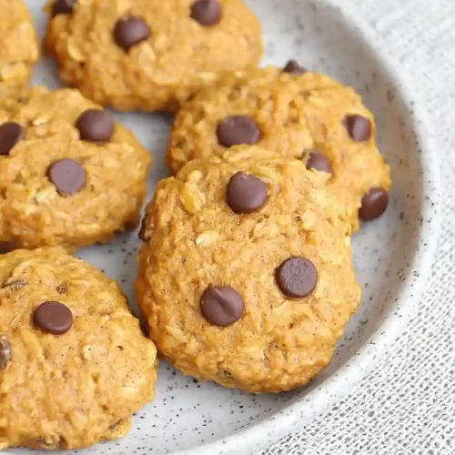 vegan pumpkin chocolate chip oatmeal cookies