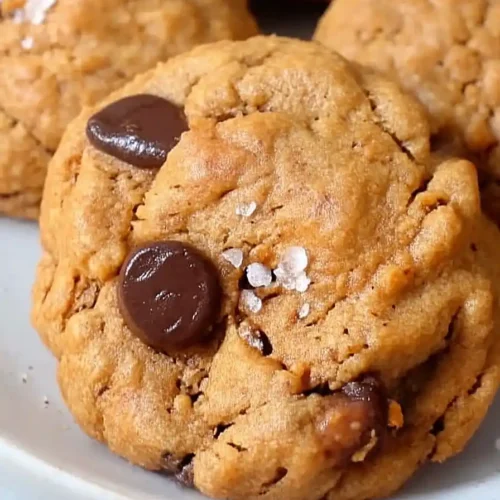 sourdough pumpkin chocolate chip cookies