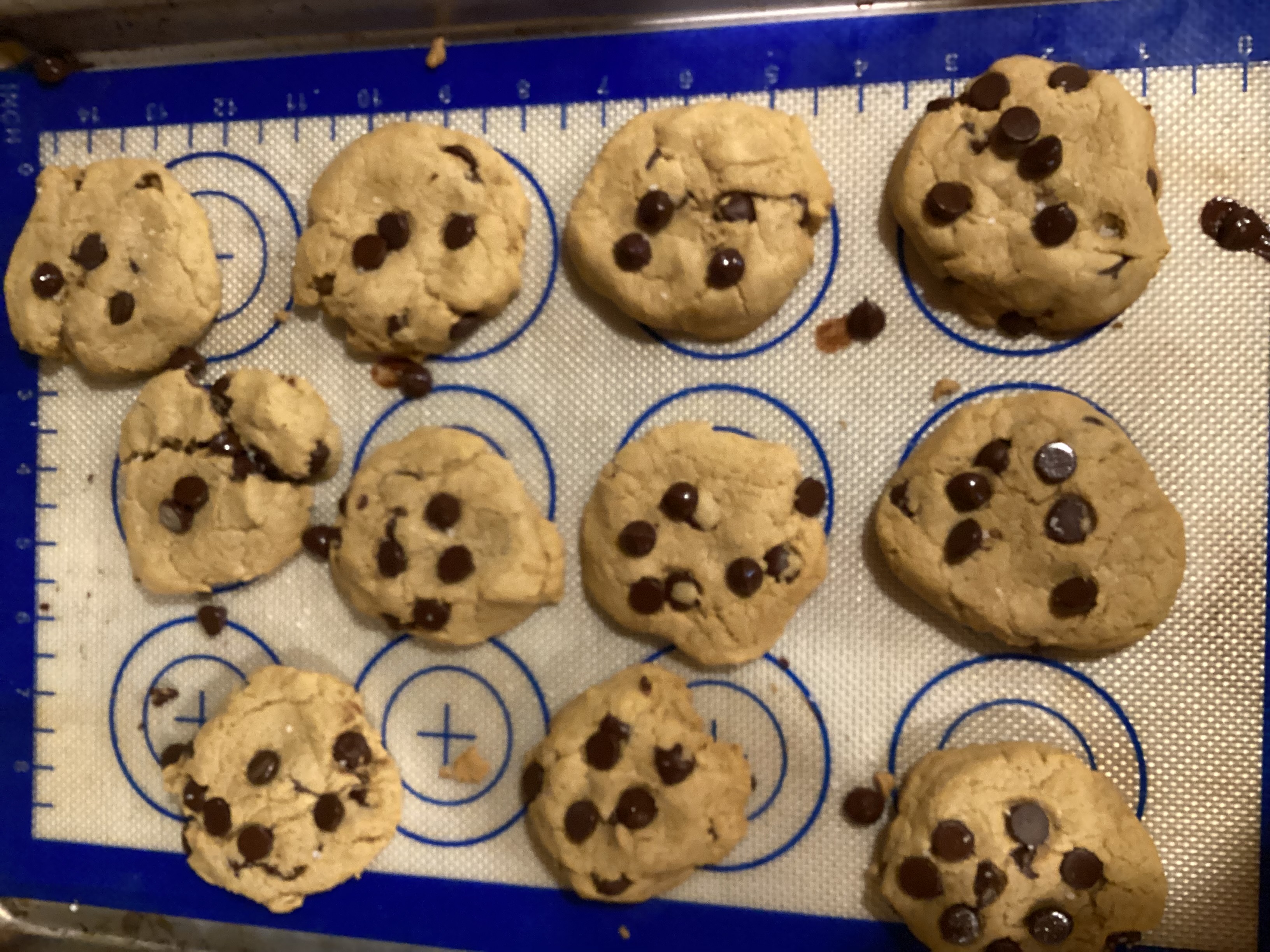 User's cooked dish photo