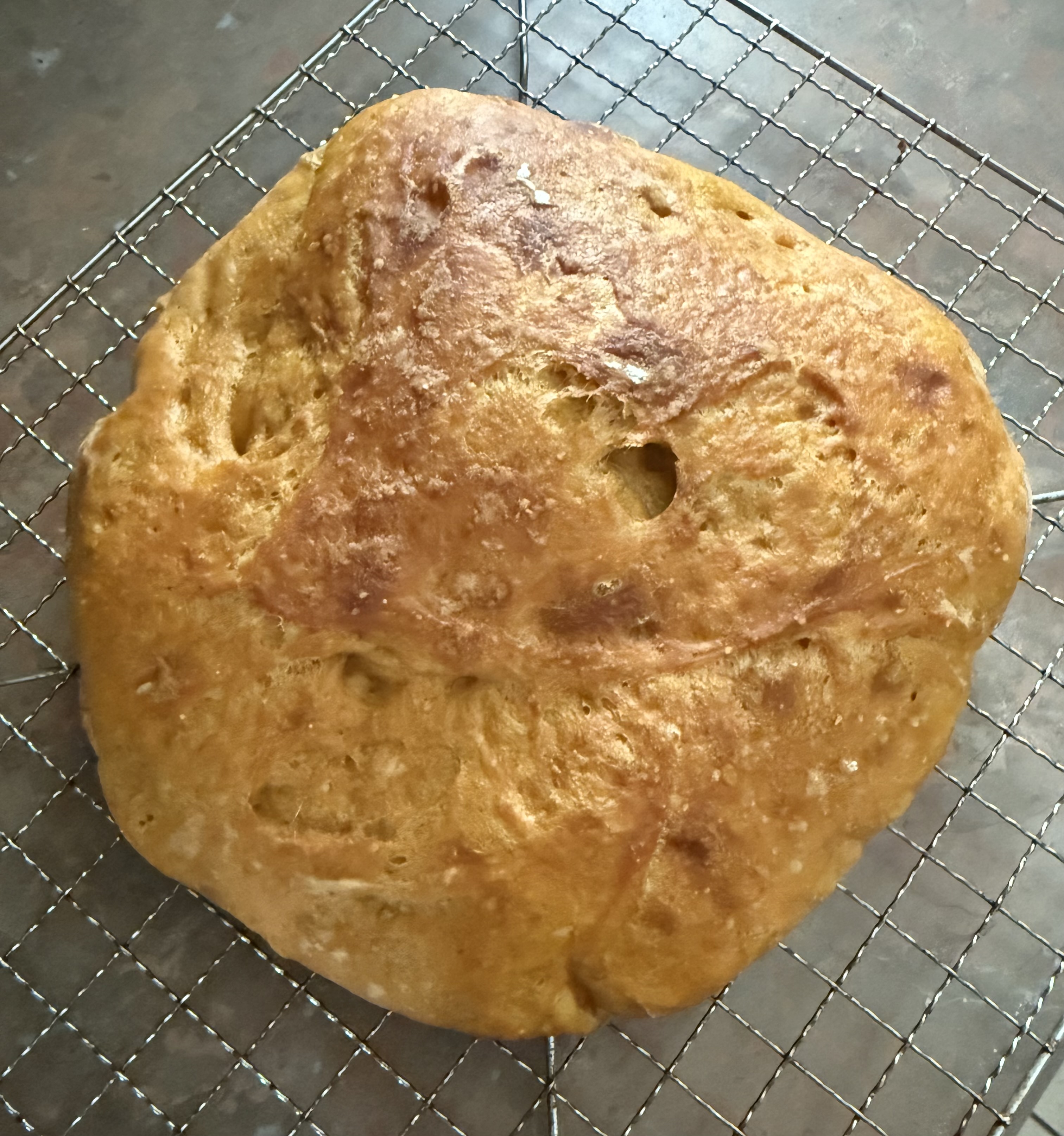 User's cooked dish photo