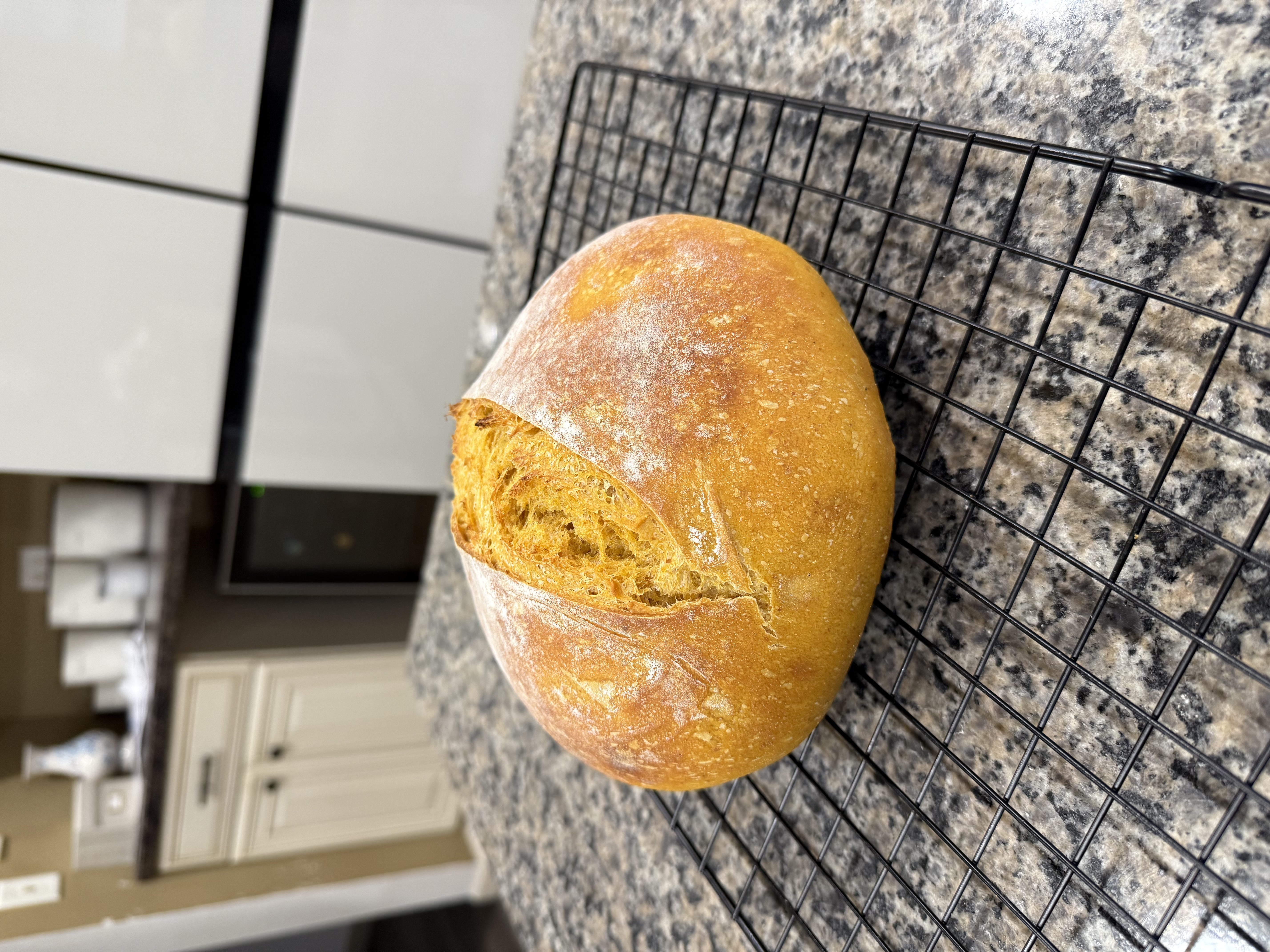User's cooked dish photo