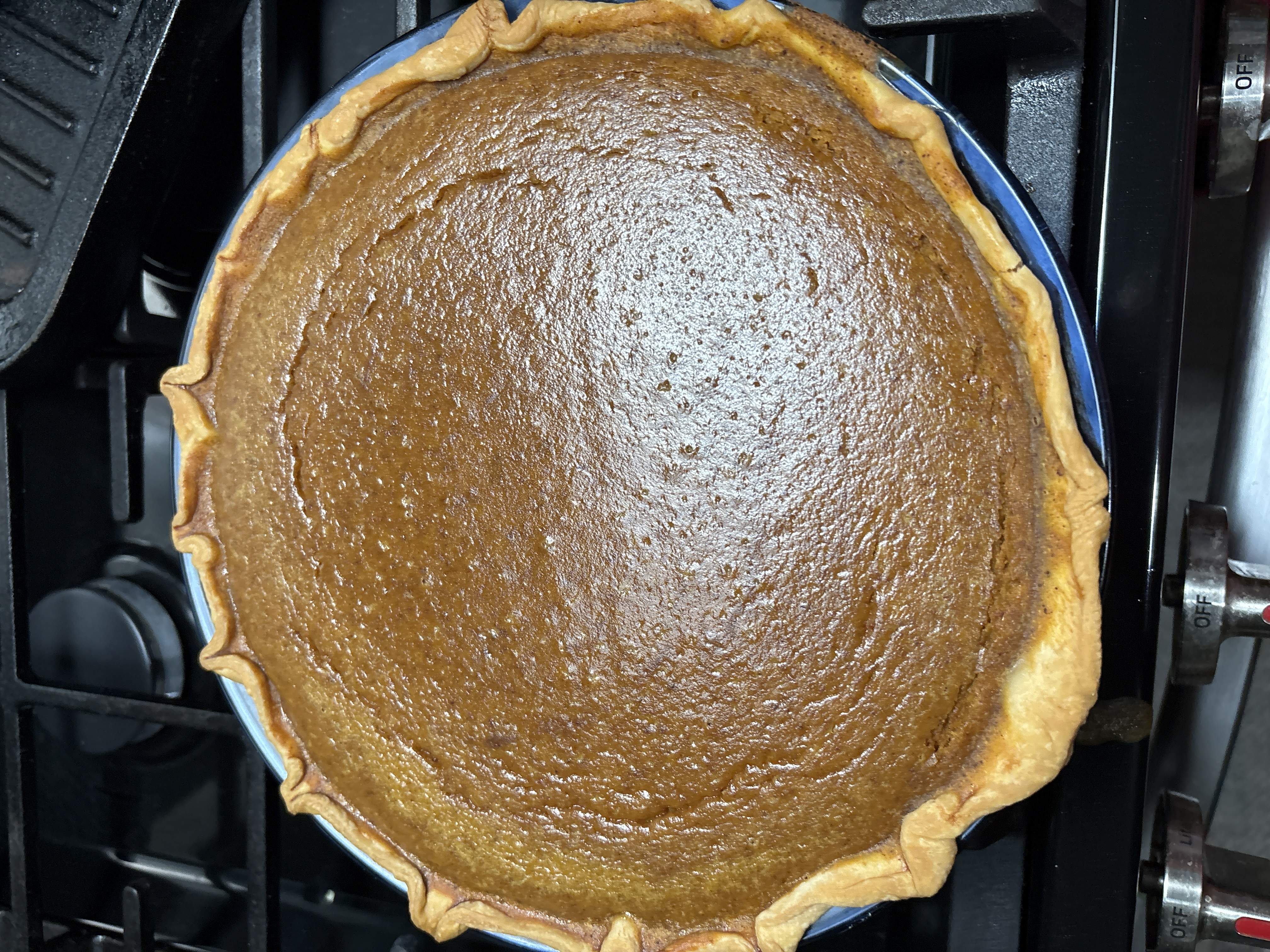 User's cooked dish photo