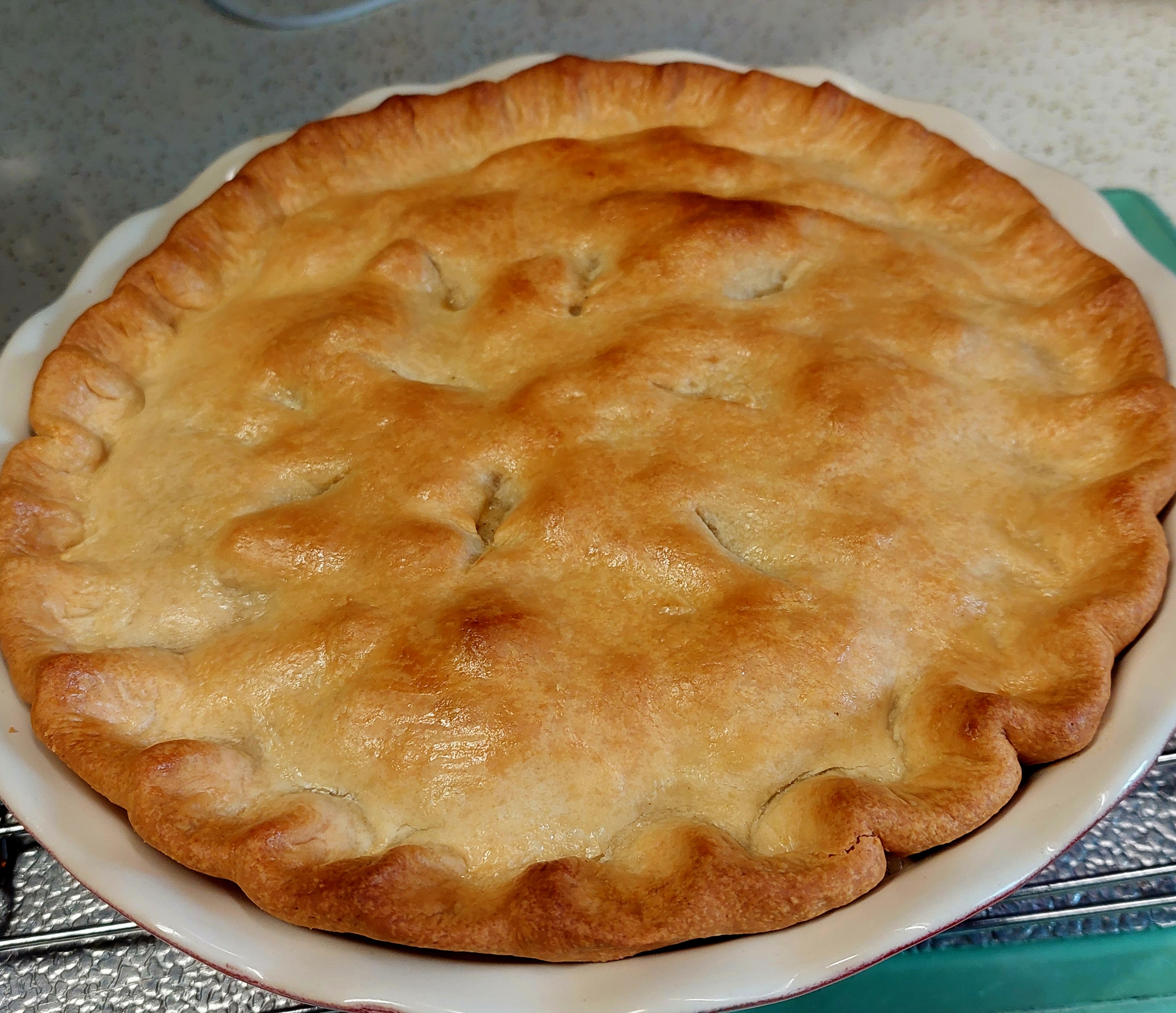 User's cooked dish photo